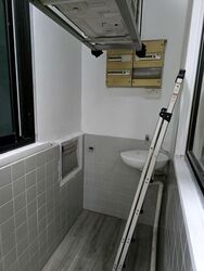 Mandarin Gardens (D15), Condominium #558913671